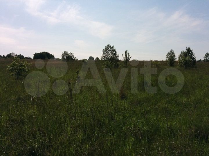 Участок 54 сот. (СНТ, ДНП)