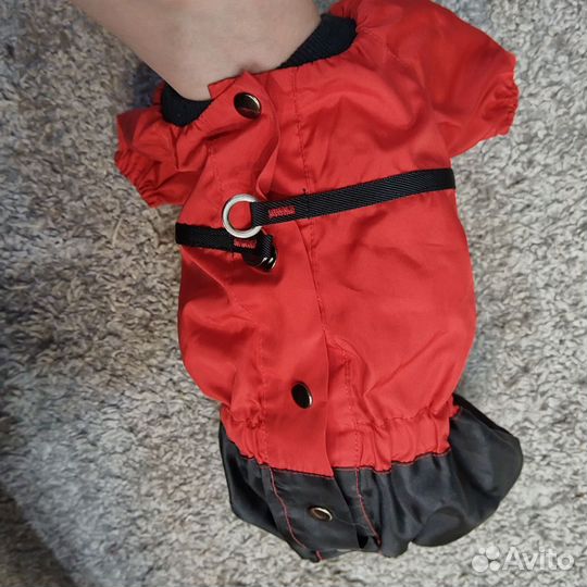 Дождевик для собаки (мальчика) новый и Шлейка