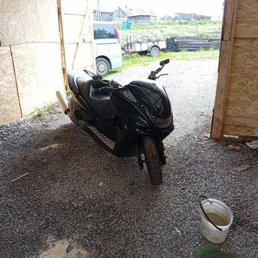 Yamaha Majesty 250 Trike, 2007, 11 300 км