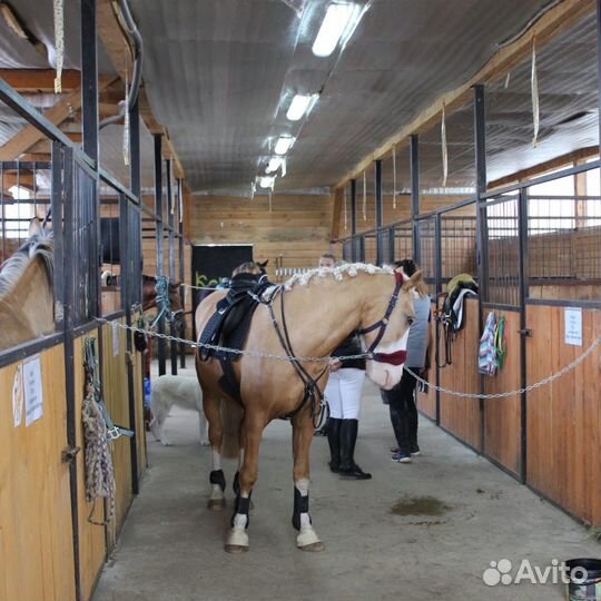 Постой для лошадей