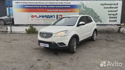 Панель задняя Ssang Yong Actyon New. Дефекты