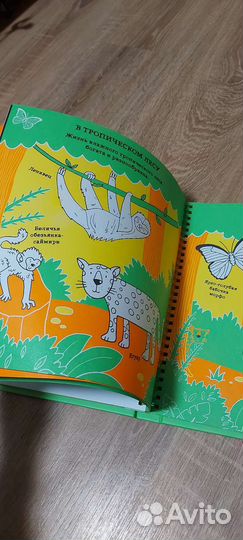 Книжка новая развивающая