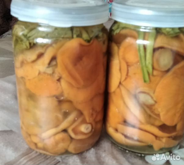 Картофель домашний, сорт Спиридон