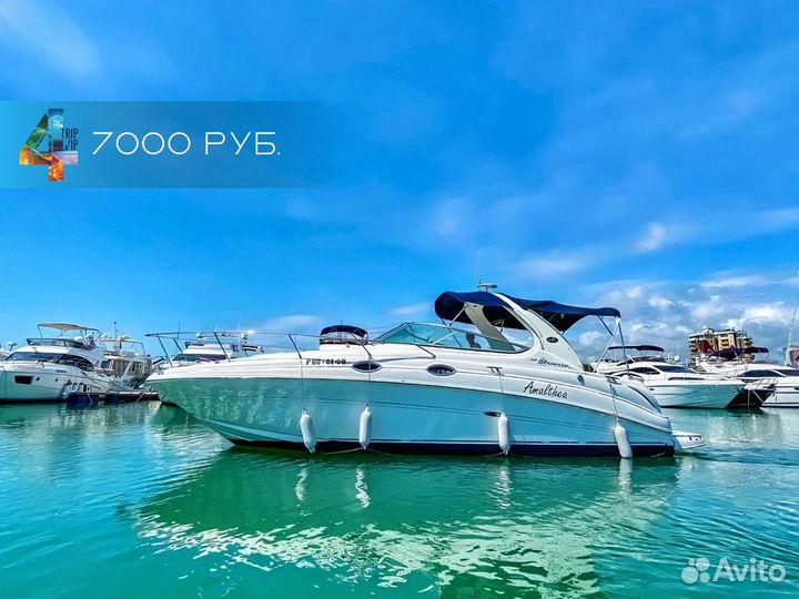 Морская рыбалка, прогулка. Аренда яхты катера