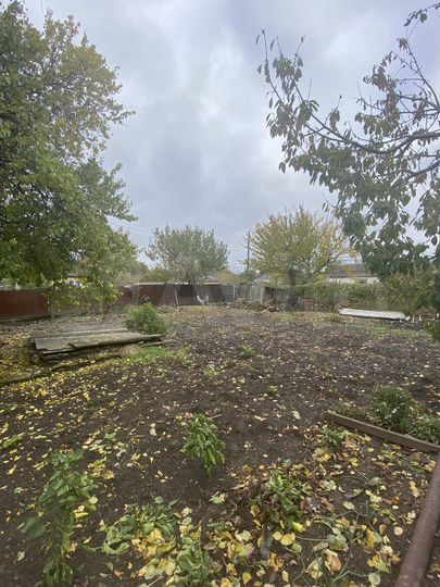 Коттедж 53,3 м² на участке 4 сот.