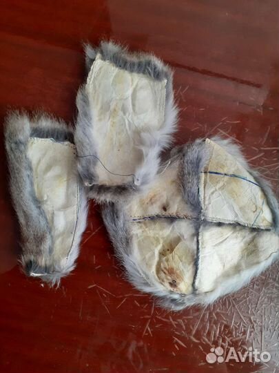 Шкурка животного