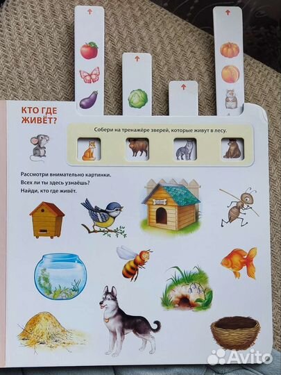 Обучающий игровой тренажёр Развиваем логику