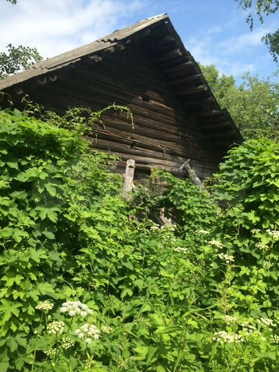 Участок 15 сот. (СНТ, ДНП)