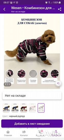 Комбинезон для собак, девочка