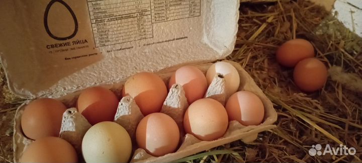 Яйца куриные/перепелиные