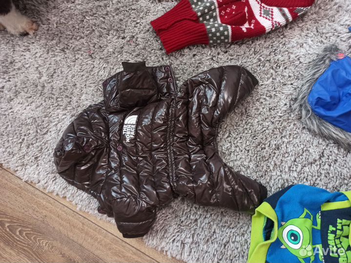 Одежда для маленьких собак