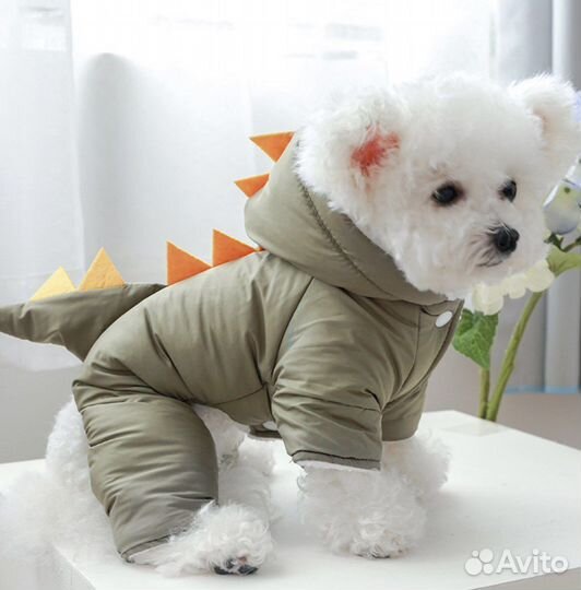 Новый комбинезон для собак