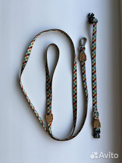 Ошейник и поводок для собак