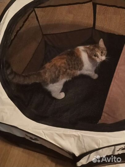 Лежанка для собаки