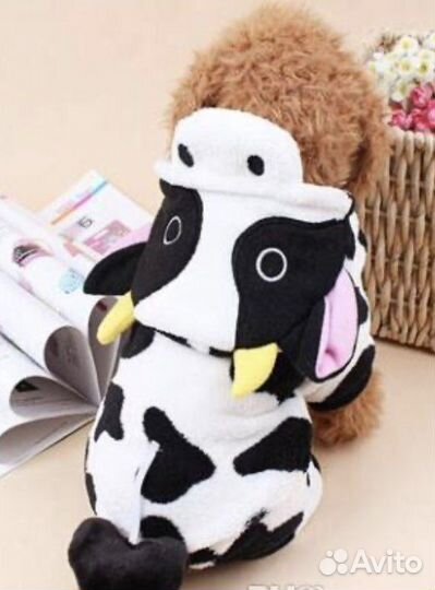 Новая одежда для собаки