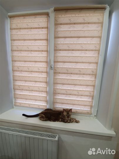 Вертикальные жалюзи