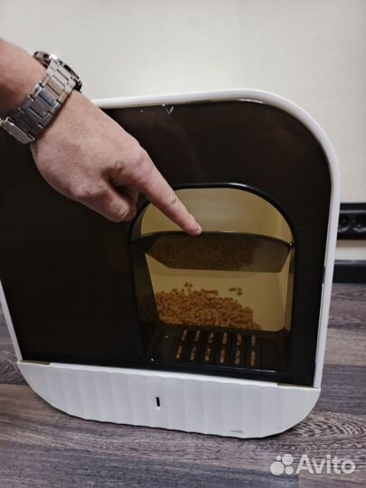 Кошачий домик туалет