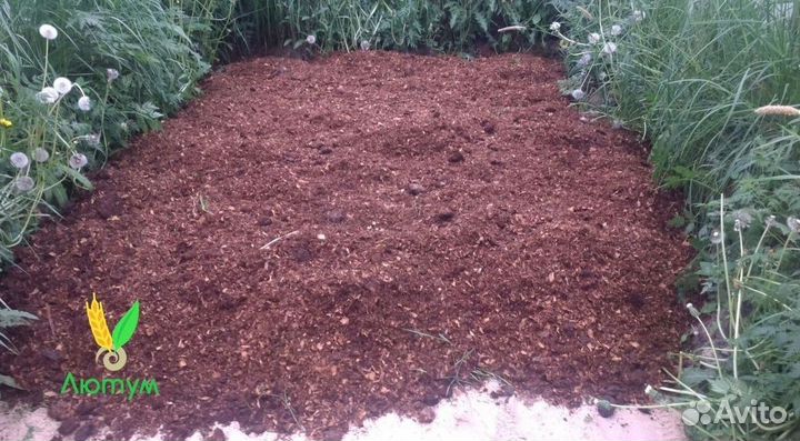 Конский перепревший навоз