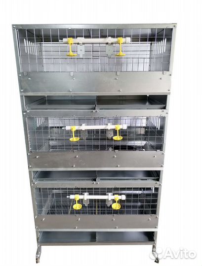 Клеточная батарея для Кур-Несушек