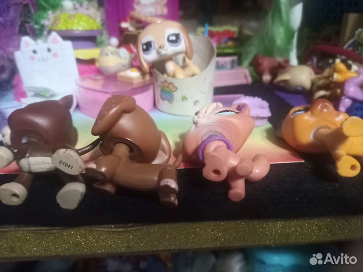 Littlest Pet Shop