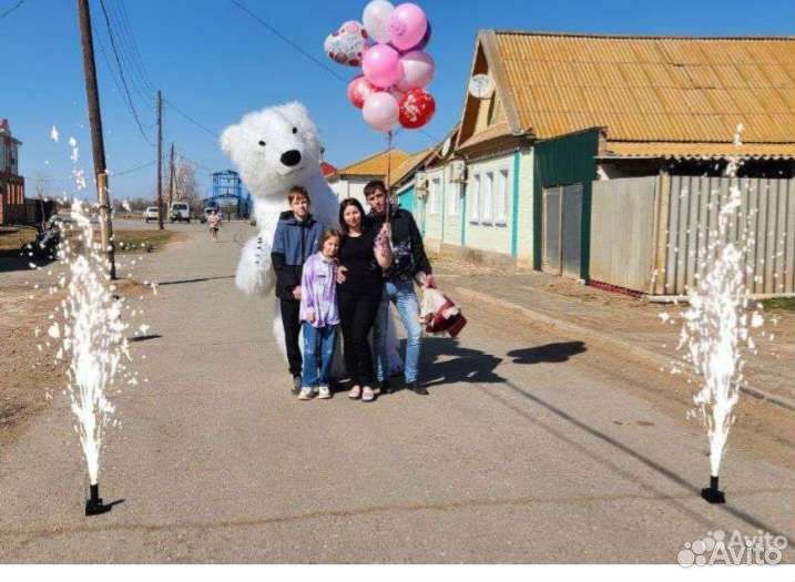 Белый мишка поздравление