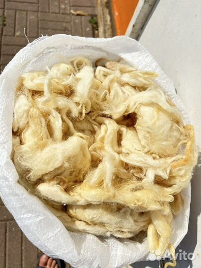 Шерсть овечья мытая