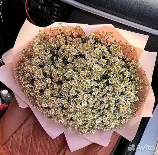 Цветы ромашки. Букеты ромашек. Цветы доставка