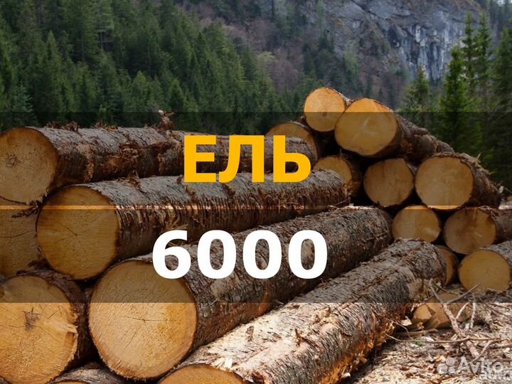 Кругляк / сосна / лиственница / комля / строевой