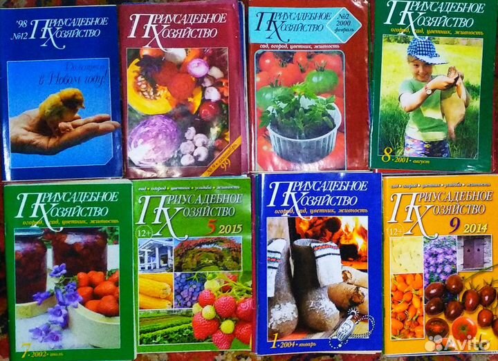 Приусадебное хозяйство (1998-2015г)