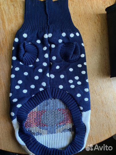 Пончо и свитер для собаки