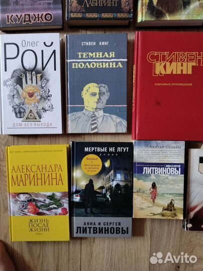 Книги: Кинг, Рой, Мосс, Акунин, Литвиновы