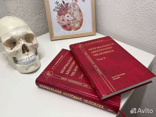 Новый учебник нормальная анатомия человека 1 том Гайворонский... купить ...
