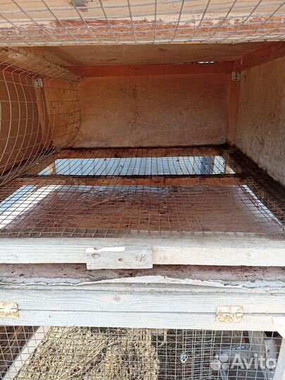 Клетка для кроликов, кур, цыплят