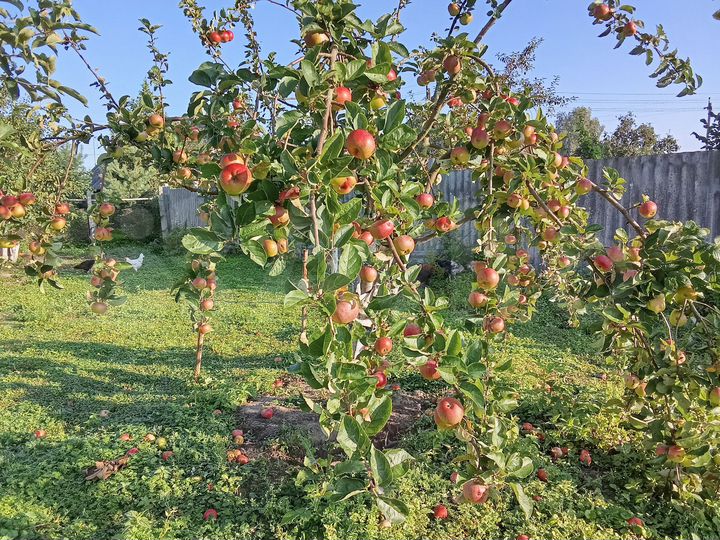 Дом 180 м² на участке 62 сот.