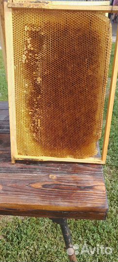 Рамки с сушью