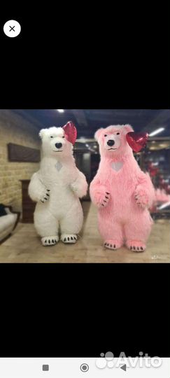 Аниматоры на день рождения мишка