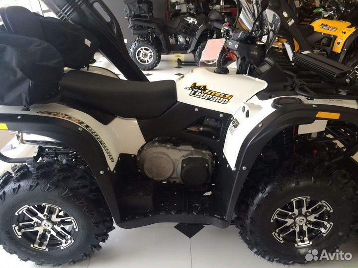Квадроцикл Stels ATV 600 YS Leopard белый