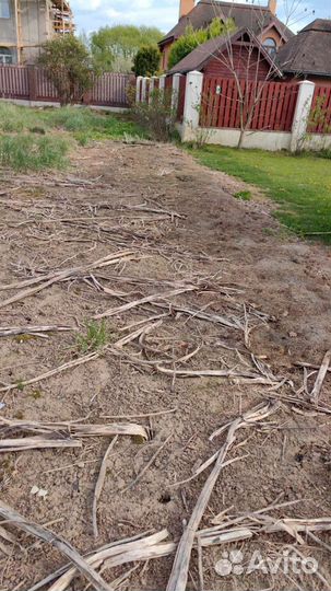 Уничтожение. Обработка.тараканов. клопов.ос.крыс