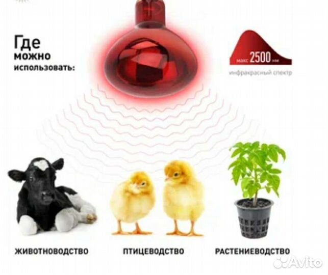 Лампа инфракрасная для сушки