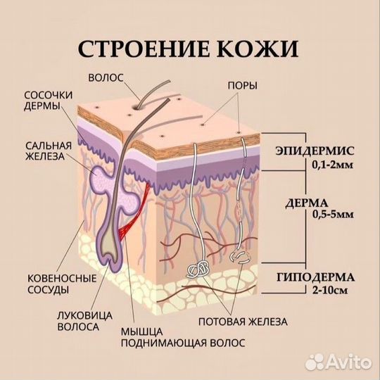 Массаж лица