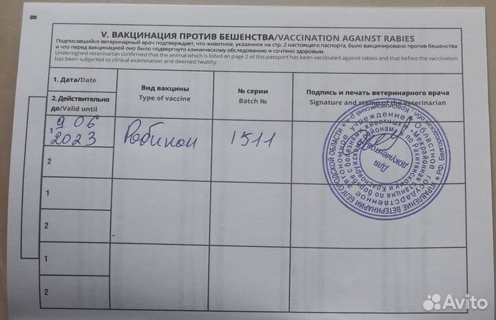 Йоркширский терьер Щенки стандарт