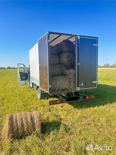 Сено в мини рулонах