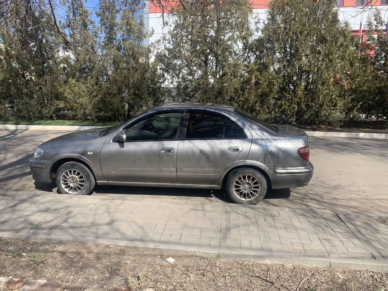 Nissan Bluebird Sylphy: фото владельца