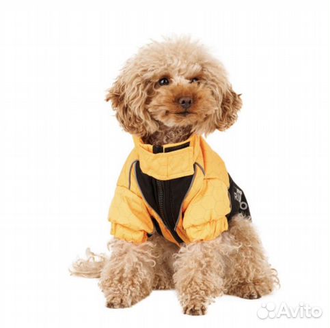 Куртка на молнии для собак