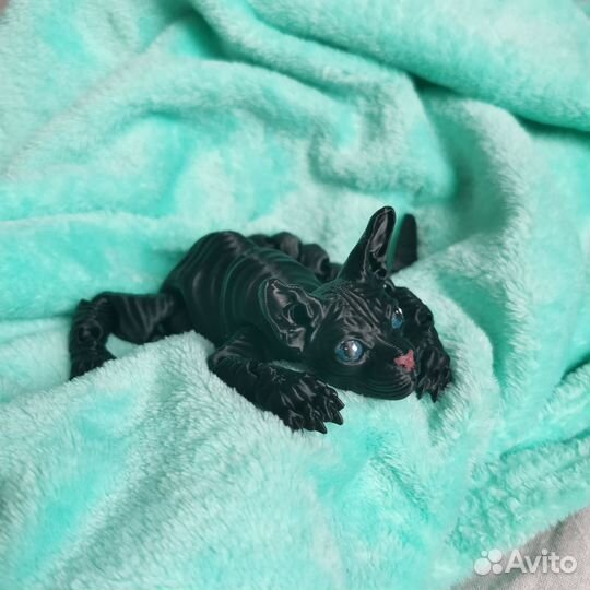 3D Котёнок сфинкс - Буся