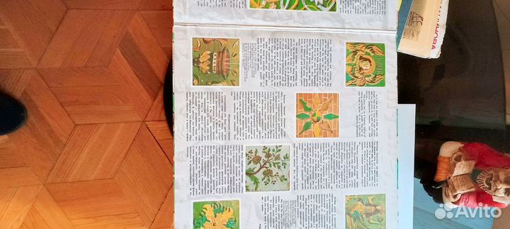 Пластики оптом 10 шт. 1