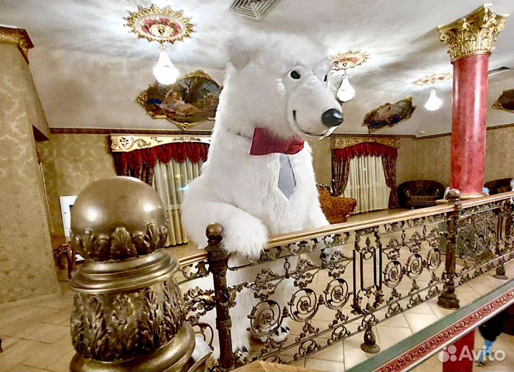 Белый мишка. Гендер пати. Танцующий медведь