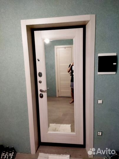 Двери входные