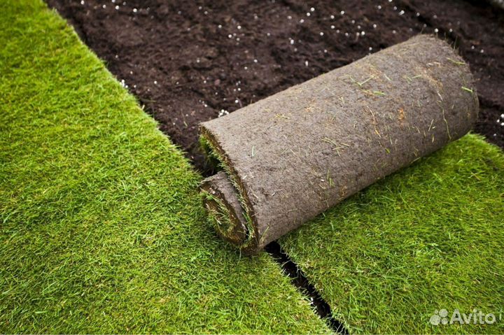 Укладка рулонного газона