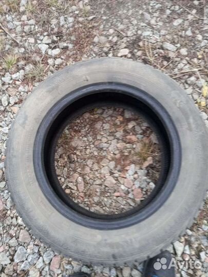 Gislaved Nord Frost 200 ID 205/65 R16